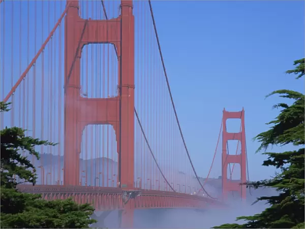 Morning fog surrounds the Golden Gate Bridge, in San Francisco, California