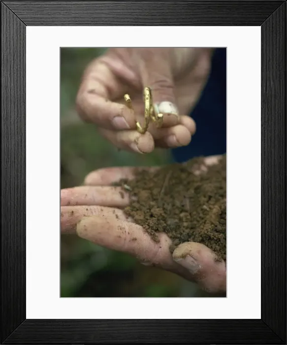 Framed Print : Grave robbers, Colombia, South America Framed Print : Grave robbers, Colombia, South America