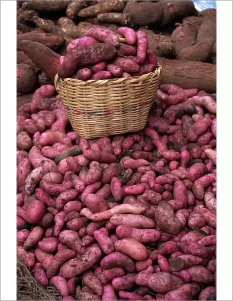 Potatoes for sale at market, Ipiales, Colombia, South America