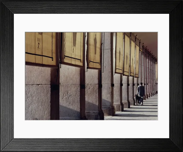 Framed Print : Man and his dog, colonnade, Plaza Mayor, Madrid, Spain, Europe Framed Print : Man and his dog, colonnade, Plaza Mayor, Madrid, Spain, Europe