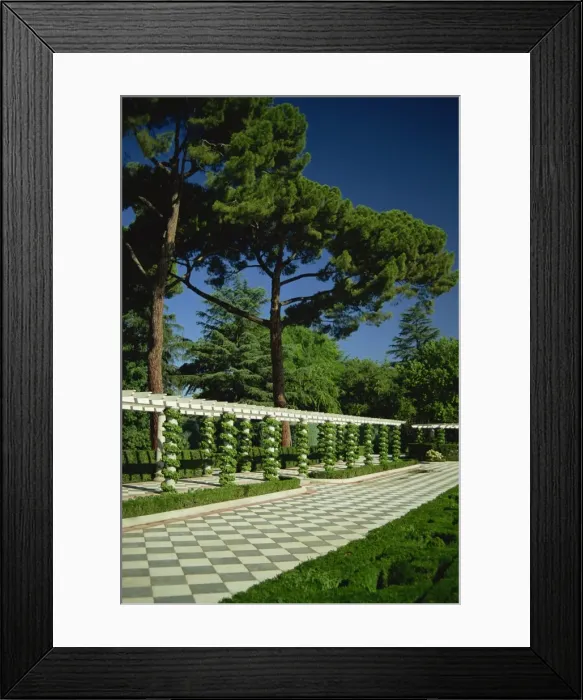 Framed Print : Retiro Park, Madrid, Spain, Europe Framed Print : Retiro Park, Madrid, Spain, Europe
