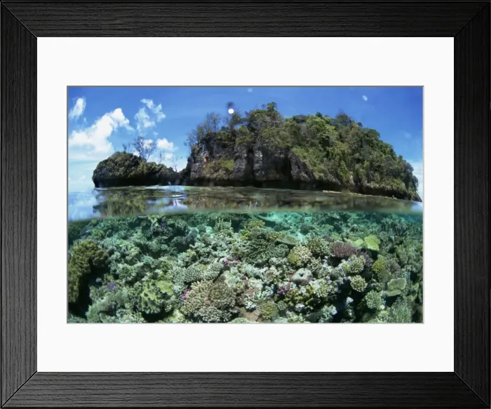 Framed Print : Above and below water view of coral reef surrounding islet of Yanu Yanu i Sau Framed Print : Above and below water view of coral reef surrounding islet of Yanu Yanu i Sau