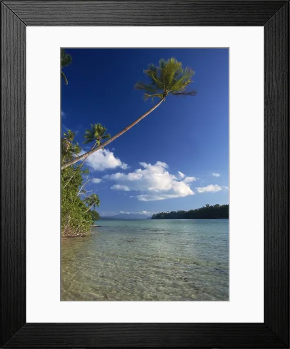 Framed Print : Palm tree over sandy channel at Marovo Lagoon, Solomon Islands, Pacific Islands, Pacific Framed Print : Palm tree over sandy channel at Marovo Lagoon, Solomon Islands, Pacific Islands, Pacific