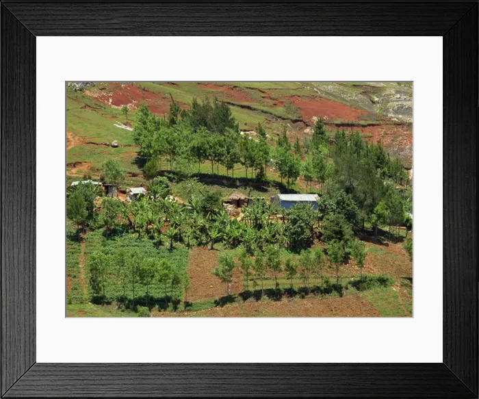 Framed Print : Small farm with trees and bananas, showing erosion in the background, Bois d Avril Framed Print : Small farm with trees and bananas, showing erosion in the background, Bois d Avril