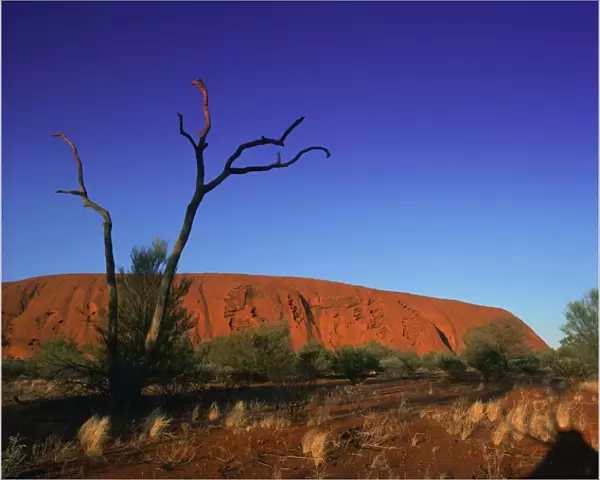 Ayers Rock at sunrise, Uluru-Kata Tjuta National Park, Northern Territory