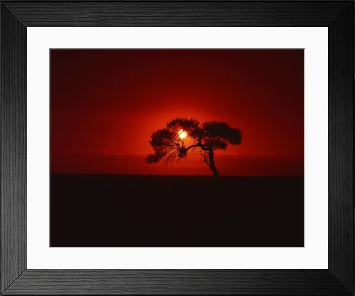 Framed Print : Sunset, Mundi Mundi Plains, New South Wales, Australia, Pacific Framed Print : Sunset, Mundi Mundi Plains, New South Wales, Australia, Pacific
