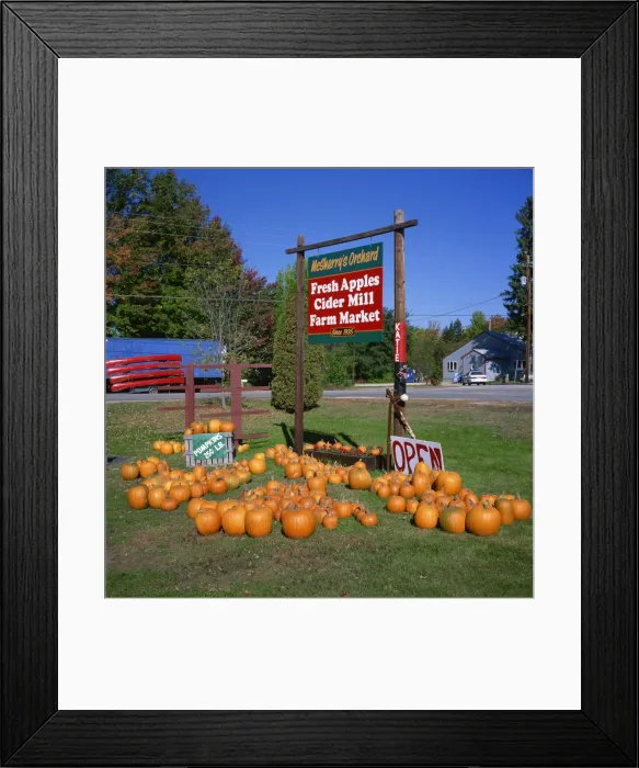 Framed Print : Pumpkins, apples, cider and maple syrup shop, New Hampshire, New England Framed Print : Pumpkins, apples, cider and maple syrup shop, New Hampshire, New England