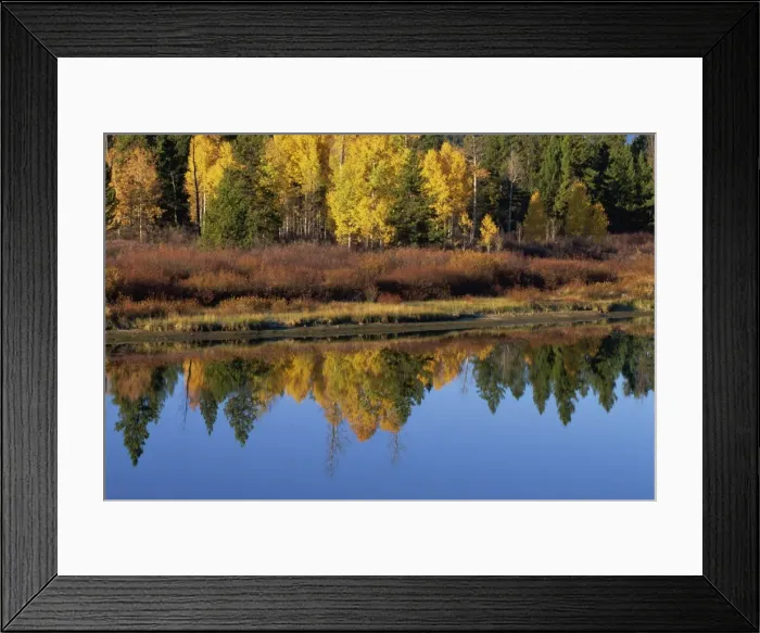 Framed Print : Reflections in Snake River, Grand Tetons National Park, Wyoming, United States of America Framed Print : Reflections in Snake River, Grand Tetons National Park, Wyoming, United States of America