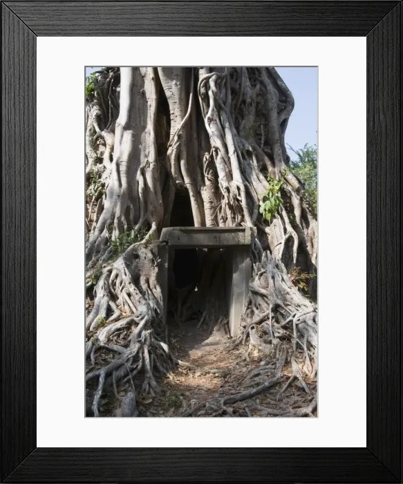 Framed Print : Temples in the ancient pre Angkor capital of Chenla, Cambodia, Indochina Framed Print : Temples in the ancient pre Angkor capital of Chenla, Cambodia, Indochina