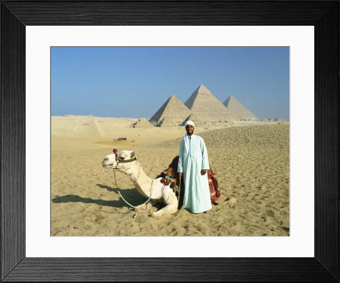 Framed Print : Camel and owner at Giza Pyramids, Giza, Cairo, Egypt, North Africa, Africa Framed Print : Camel and owner at Giza Pyramids, Giza, Cairo, Egypt, North Africa, Africa