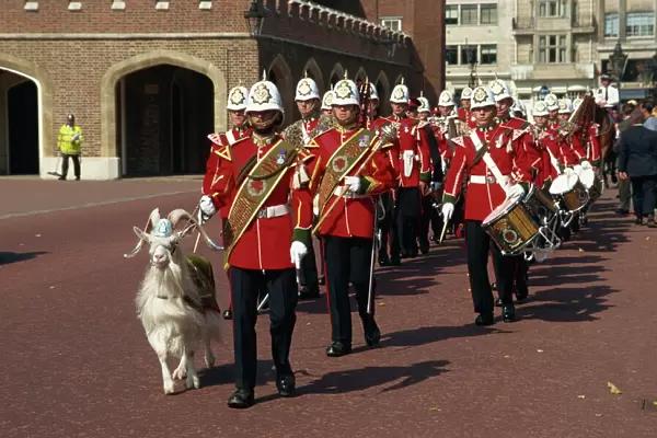 Gibraltar Regiment Band with goat mascot, London, England, United Kingdom, Europe
