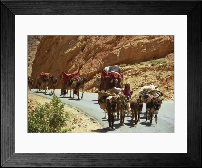 Framed Print : Oued Abiod Gorge, Aures Mountains, Algeria, North Africa, Africa Framed Print : Oued Abiod Gorge, Aures Mountains, Algeria, North Africa, Africa