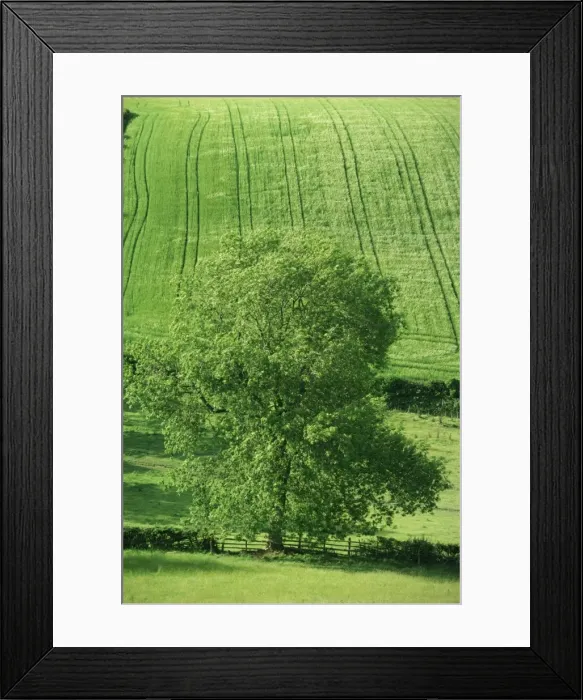 Framed Print : Clun Valley, Shropshire, England, United Kingdom, Europe Framed Print : Clun Valley, Shropshire, England, United Kingdom, Europe