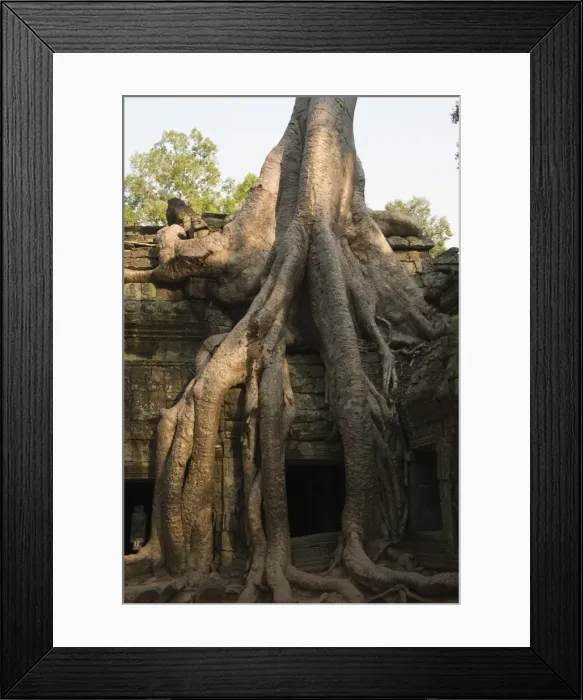Framed Print : Ta Prohm Kei temple, Angkor Thom, Angkor, UNESCO World Heritage Site, Siem Reap Framed Print : Ta Prohm Kei temple, Angkor Thom, Angkor, UNESCO World Heritage Site, Siem Reap