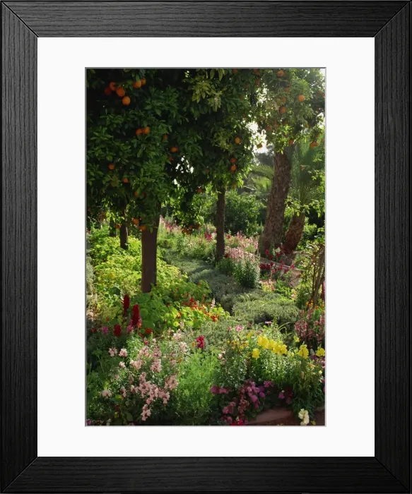 Framed Print : Garden of La Mamounia Hotel, Marrakesh, Morocco, North Africa, Africa Framed Print : Garden of La Mamounia Hotel, Marrakesh, Morocco, North Africa, Africa