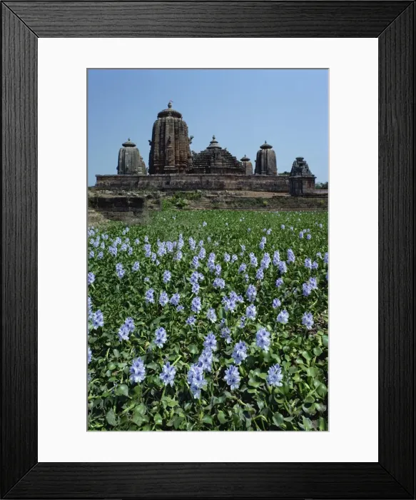 Framed Print : Brahmeswar temple, Bhubaneswar, Orissa state, India, Asia Framed Print : Brahmeswar temple, Bhubaneswar, Orissa state, India, Asia