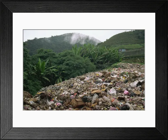 Framed Print : Rubbish dump in jungle, Malaysia, Southeast Asia, Asia Framed Print : Rubbish dump in jungle, Malaysia, Southeast Asia, Asia