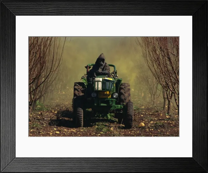 Framed Print : Man wearing protective clothing on a tractor spraying orchards in winter in Upper Galilee Framed Print : Man wearing protective clothing on a tractor spraying orchards in winter in Upper Galilee