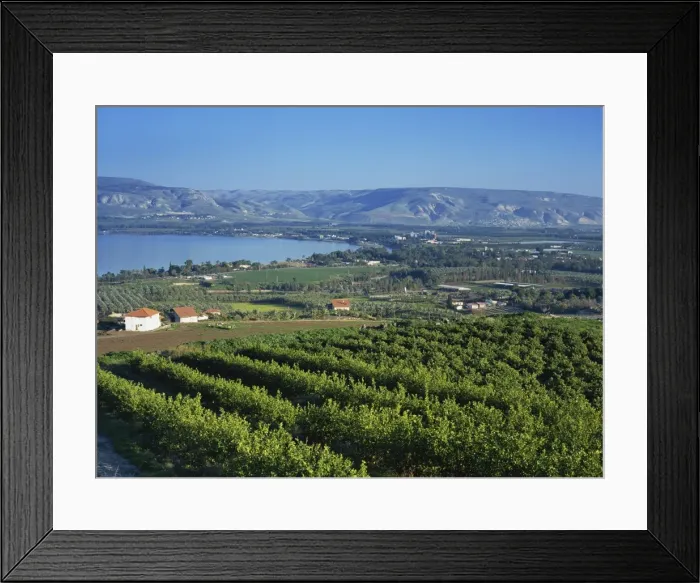 Framed Print : View of the Sea of Galilee, Zemakh area, Israel, Middle East Framed Print : View of the Sea of Galilee, Zemakh area, Israel, Middle East