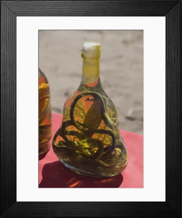 Framed Print : Snakes in bottles of spirits thought to have medicinal properties, Laos Framed Print : Snakes in bottles of spirits thought to have medicinal properties, Laos