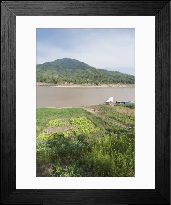 Framed Print : Crops on side of Mekong River at Gom Dturn, a Lao Luong Village in the Golden Triangle area of Laos Framed Print : Crops on side of Mekong River at Gom Dturn, a Lao Luong Village in the Golden Triangle area of Laos