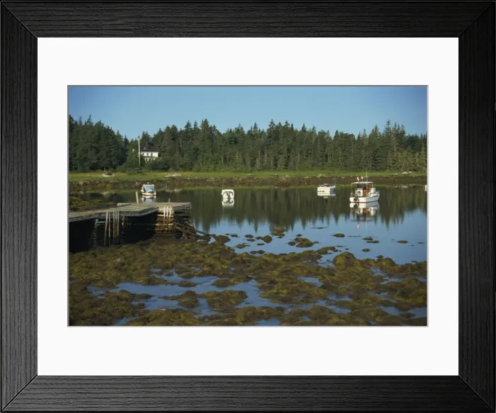 Framed Print : Boats moored in Peggys Cove at low tide, South Shore, Nova Scotia Framed Print : Boats moored in Peggys Cove at low tide, South Shore, Nova Scotia