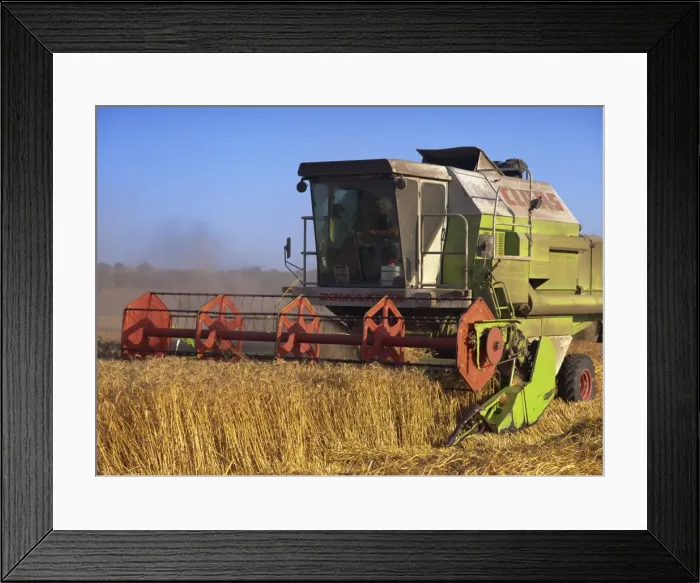 Framed Print : Harvester harvesting a barley field, Galilee, Israel, Middle East