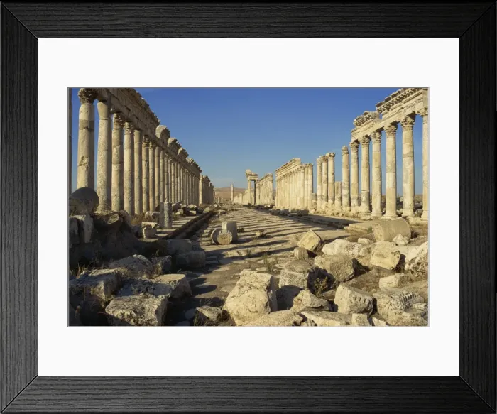 Framed Print : Cardo, Apamea, Syria, Middle East Framed Print : Cardo, Apamea, Syria, Middle East