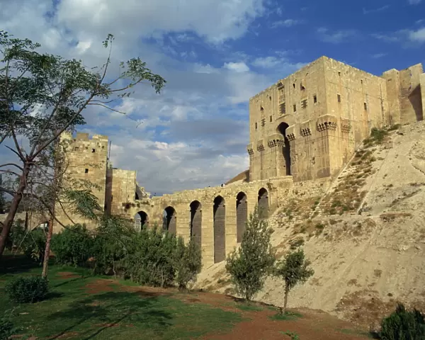 The Citadel, Aleppo, UNESCO World Heritage Site, Syria, Middle East