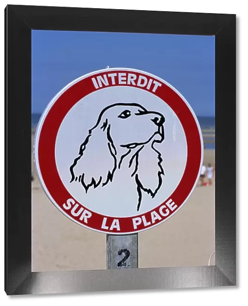 Dogs forbidden sign on beach, Le Touquet, , Nord, France, Europe