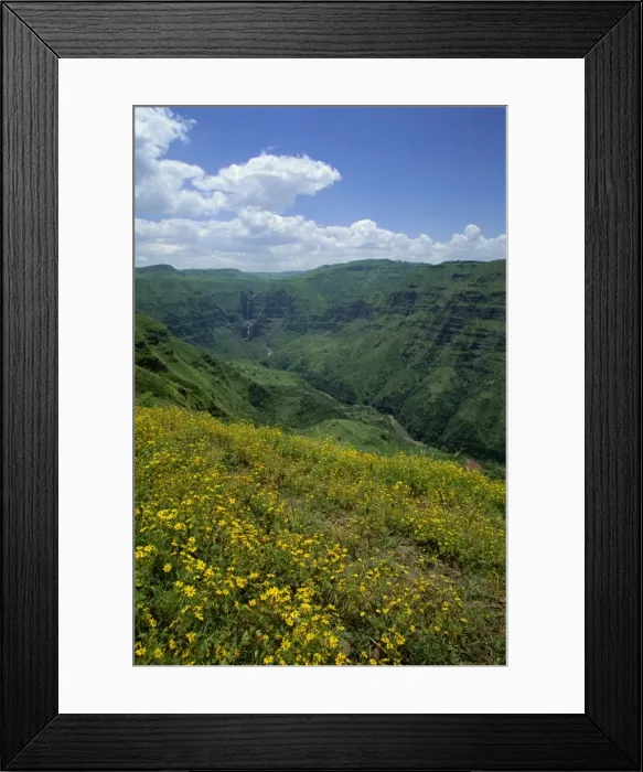 Framed Print : Waterfall cascades down lush valley, Mulu Gorge, near Addis Ababa, Ethiopia, Africa Framed Print : Waterfall cascades down lush valley, Mulu Gorge, near Addis Ababa, Ethiopia, Africa