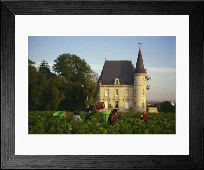 Framed Print : Chateau Pichon Longueville, Medoc, Pauillac, Aquitaine, France, Europe