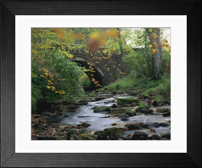Framed Print : Hamsterley Forest, County Durham, England, United Kingdom, Europe Framed Print : Hamsterley Forest, County Durham, England, United Kingdom, Europe