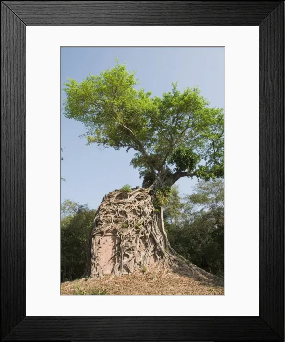 Framed Print : Temples in the ancient pre Angkor capital of Chenla, Cambodia, Indochina