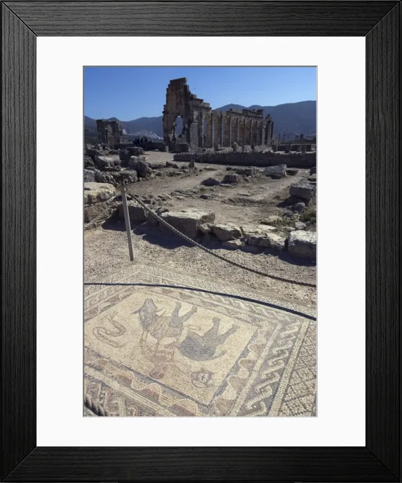 Framed Print : House of the Athlete (House of the Acrobat), Roman site of Volubilis, UNESCO World Heritage Site Framed Print : House of the Athlete (House of the Acrobat), Roman site of Volubilis, UNESCO World Heritage Site