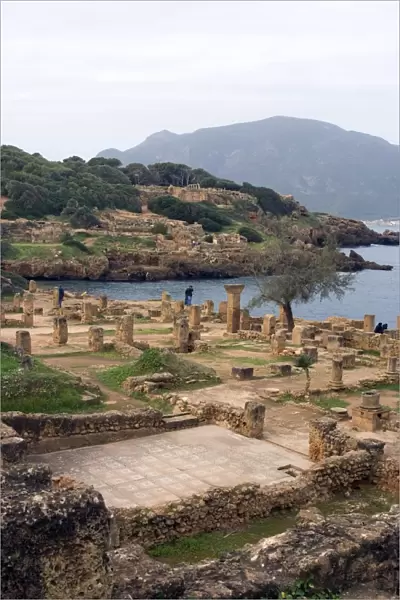 Roman site of Tipasa, UNESCO World Heritage Site, Algeria, North Africa, Africa