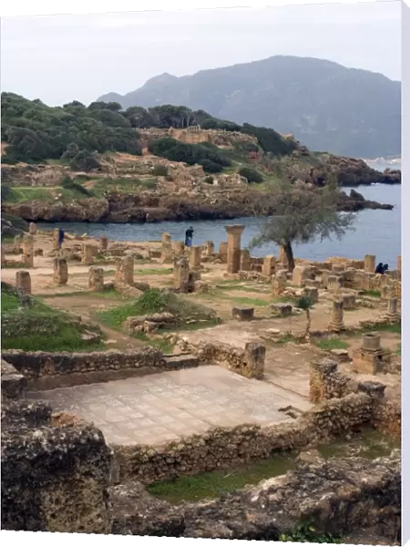 Roman site of Tipasa, UNESCO World Heritage Site, Algeria, North Africa, Africa
