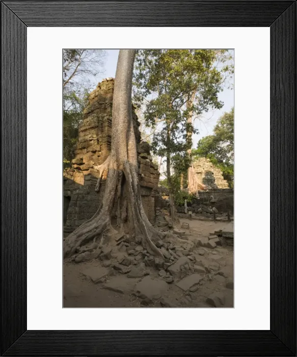 Framed Print : Taprohm Kei temple, Angkor Thom, Angkor, UNESCO World Heritage Site, Siem Reap Framed Print : Taprohm Kei temple, Angkor Thom, Angkor, UNESCO World Heritage Site, Siem Reap