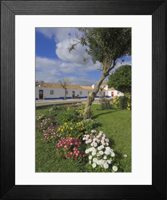 Framed Print : Traditional white and blue painted cottages in village centre, Porto Cova Framed Print : Traditional white and blue painted cottages in village centre, Porto Cova