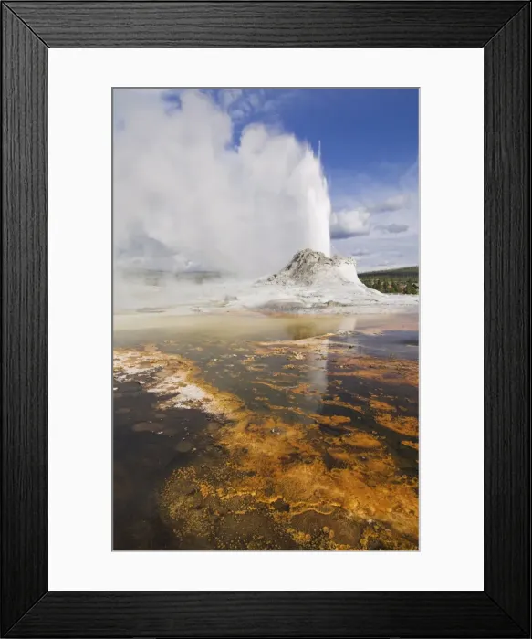 Framed Print : Eruption of Castle Geyser with thermophilic bacterica mats in foreground Framed Print : Eruption of Castle Geyser with thermophilic bacterica mats in foreground