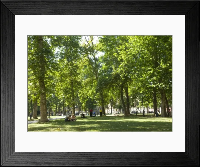 Framed Print : Tivoli park, Ljubljana, Slovenia, Europe Framed Print : Tivoli park, Ljubljana, Slovenia, Europe