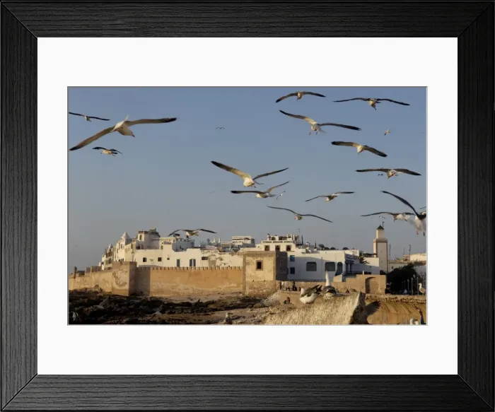 Framed Print : Old waterfront city behind ramparts, Essaouira, historic city of Mogador Framed Print : Old waterfront city behind ramparts, Essaouira, historic city of Mogador