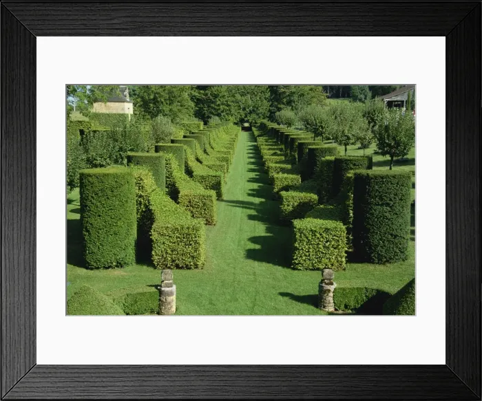 Framed Print : Allee des charmes, Les Jardins d Eyrignac, Dordogne, Perigord, Aquitaine Framed Print : Allee des charmes, Les Jardins d Eyrignac, Dordogne, Perigord, Aquitaine