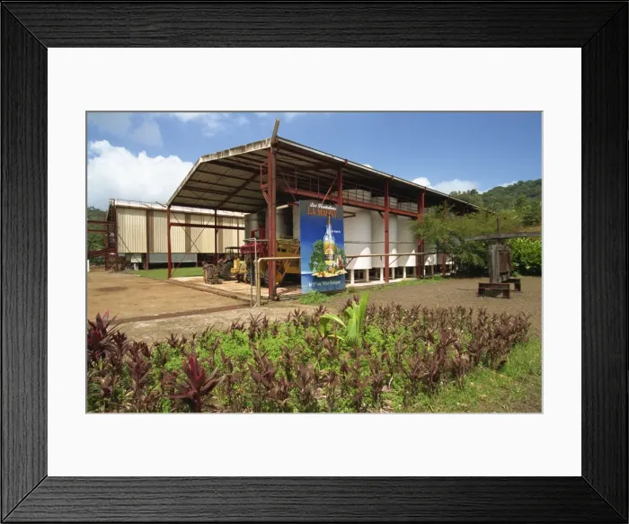 Framed Print : La Mauny Distillery, Martinique, West Indies, Caribbean, Central America Framed Print : La Mauny Distillery, Martinique, West Indies, Caribbean, Central America