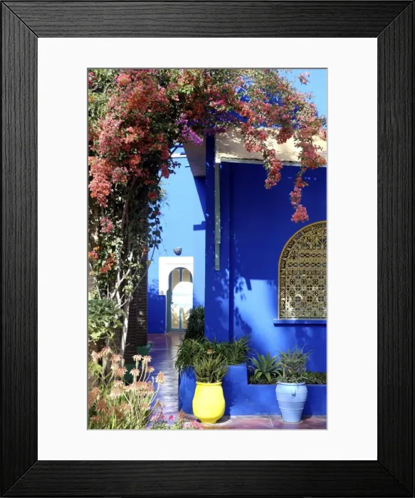 Framed Print : The Majorelle Garden, created by the French cabinetmaker Louis Majorelle Framed Print : The Majorelle Garden, created by the French cabinetmaker Louis Majorelle