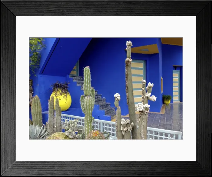 Framed Print : Cacti in the Majorelle Garden, created by the French cabinetmaker Louis Majorelle