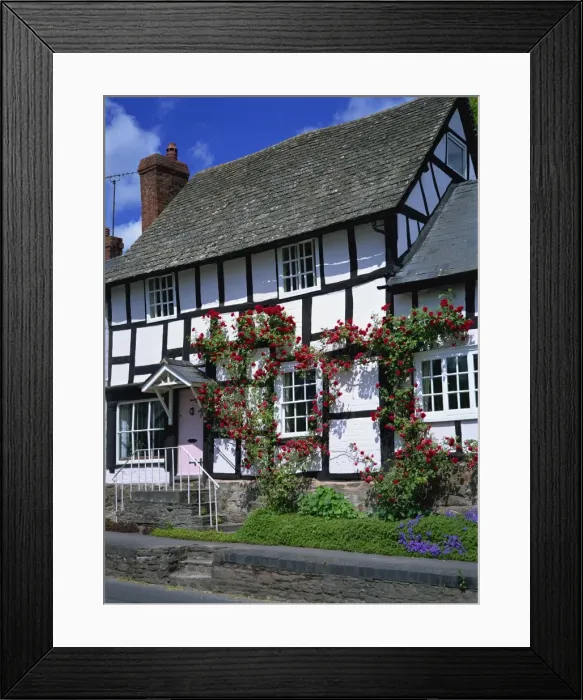 Framed Print : Roses round the door of timber framed cottage, Pembridge, Herefordshire Framed Print : Roses round the door of timber framed cottage, Pembridge, Herefordshire