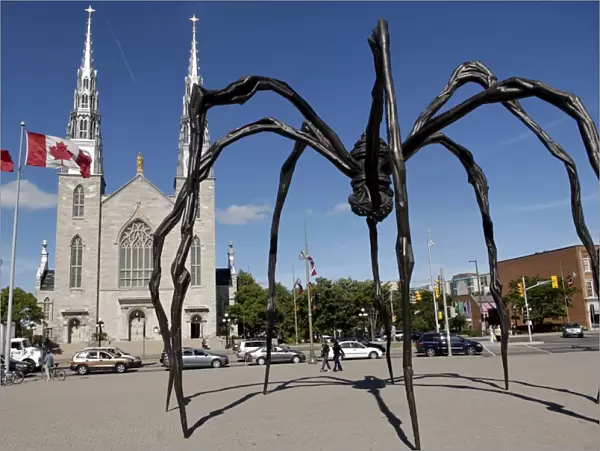 Maman a 21st century bronze sculpture of a spider, 9. 25m high with a sac of 26 eggs
