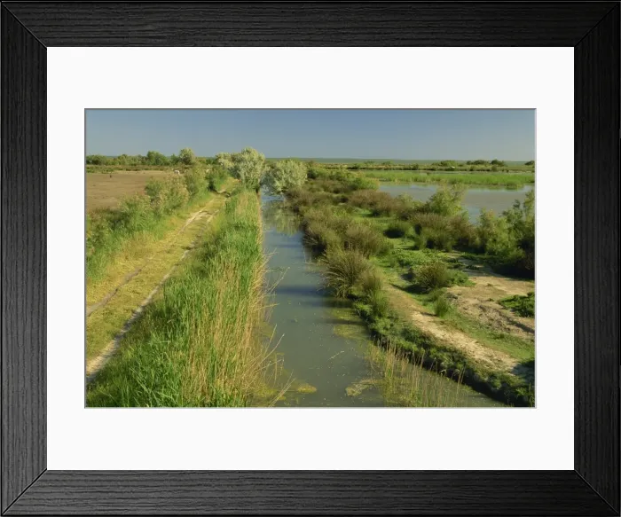 Framed Print : Landscape near St. Marie de la Mer, Camargue, Provence, France, Europe Framed Print : Landscape near St. Marie de la Mer, Camargue, Provence, France, Europe