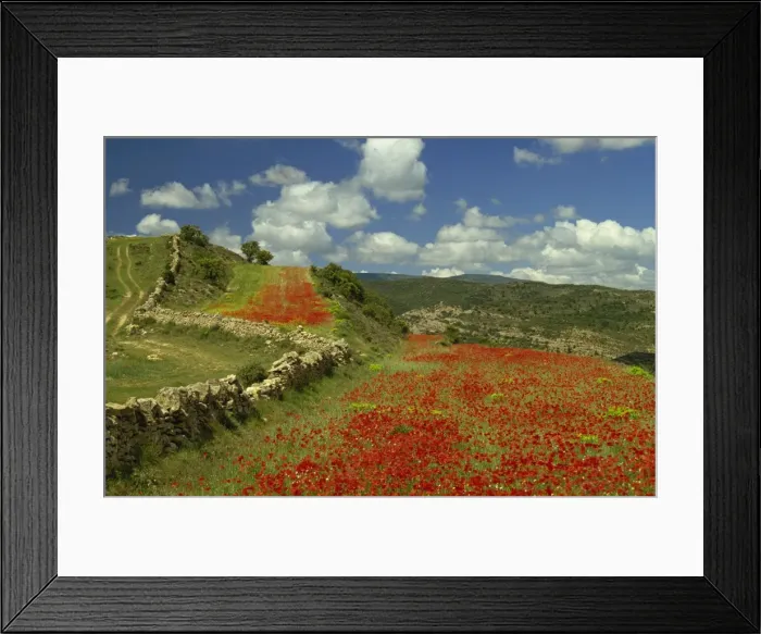 Framed Print : Landscape near Teruel, Maestrazgo, Aragon, Spain, Europe Framed Print : Landscape near Teruel, Maestrazgo, Aragon, Spain, Europe